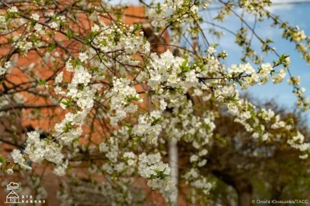 �����������. ������. �������