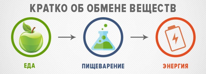 ������ ����� ��� �� ��������� ���������: ������� ������� � �������