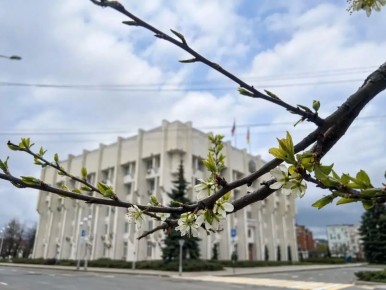 ��������� �������! ���������� ��� � ���� �������� ��������������, � ���������� ���, ��� ��������� ������ �������, �������� �������� �� �������� ����� ������� ������ ������������