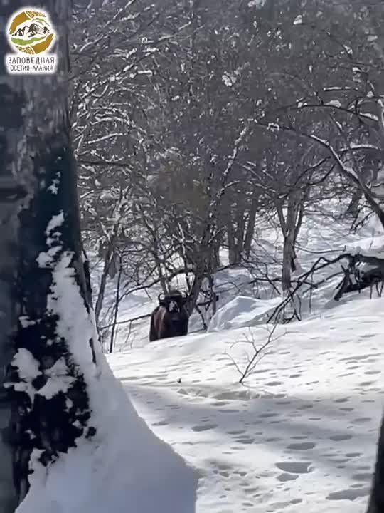 122 �����, ������� 6 �����, ����� �� ���������� �������� ������ �������� ��������� �����