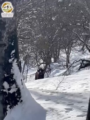 122 �����, ������� 6 �����, ����� �� ���������� �������� ������ �������� ��������� �����