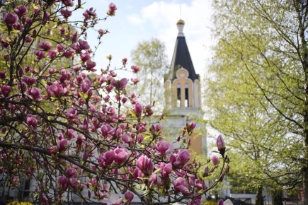 ������ ����, �����������!