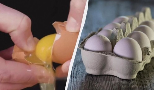 ����������� ������ ������� ���� ��� ������