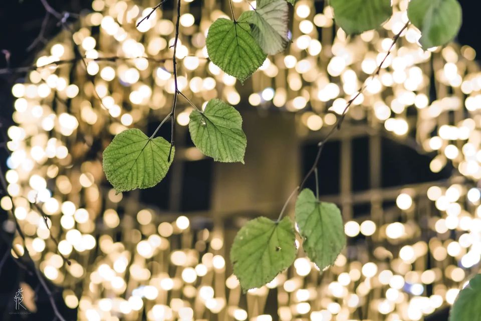 ���� ���� ��� ���. ������ ����, �����������