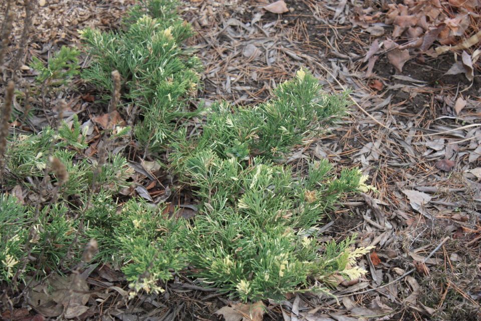 ������ ����������� �������: ��� ������������ ������ �������� � ������