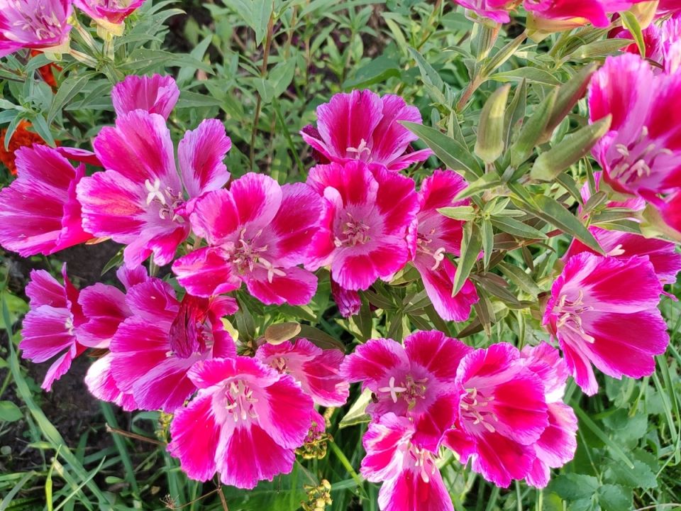 ������ ����� ������: ��� ����������� ���� ��� � �����