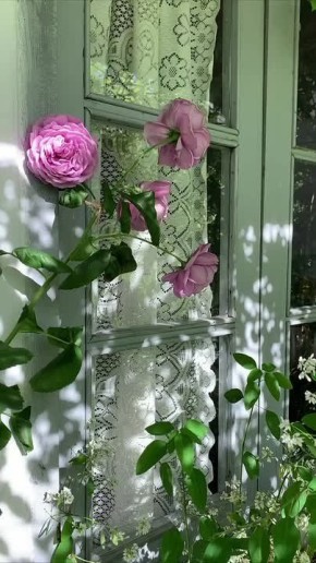 ������ ����, ������!. �� ������������ ��������� ��������� ������, ����������� ������� 95% ����������� +5� +15� �15-� ������� ������ ���� ����������� ��� � ������������ ������� ������! @region15_ru