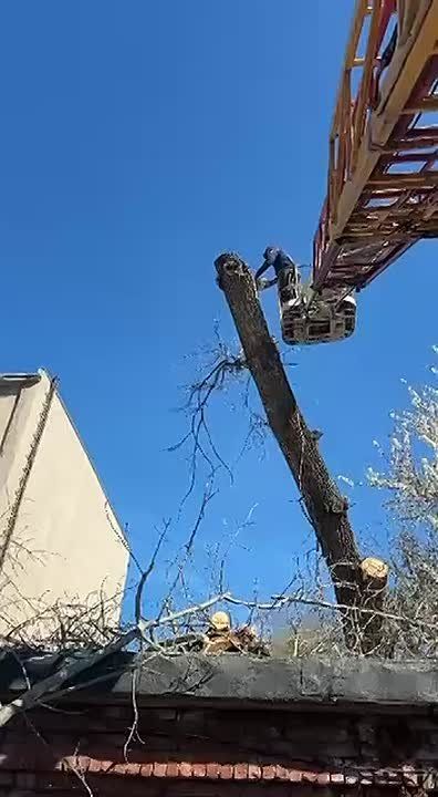 ����������� �������. �� ��������� ������ ���������� ���������������� ��������� ��������� ������: ���������� ����� ������ � �����������;