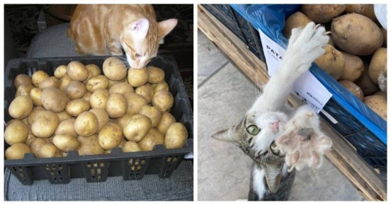 ����� � ��������: ��������� ���������, ������� �������� ��� ����������