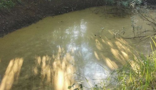 ��� ��������� ������ �� �������� ������� ����: ������, ��� ������ ��������