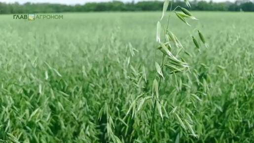 ���������� ������������� ������� ������������� ��������� ��� ���� � ���������� ����������� �� 16%