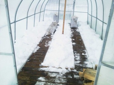 ��� ��������� ����������� ������� � ���������� �������: �������� ������ ��� �����������