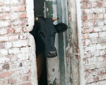 ��� ����������� ������� � ������ ������������ ��������� ��� ������ ����