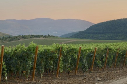 ��� ��������� ������� ����� ���� �� ������������ �����