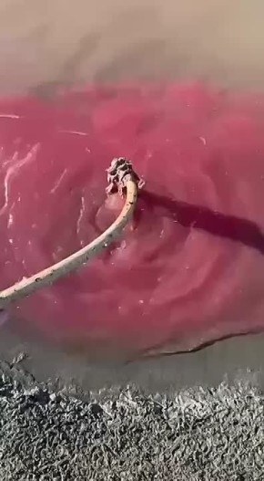 ����������� ���������� ������� ����� ������� ������� ��������� � ����������� ������ ��������