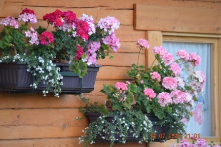 ��� ���������� ���������� �������: ����������� �������� ��������