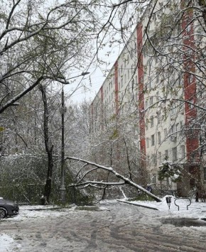 1200 �������� ������� � ������ ��-�� ��������, � ���