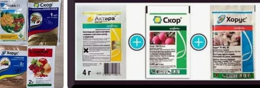 ��� �� ��������� �� ������ ���������� � �������� ���� ���� �� ��������