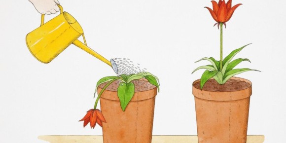 ��� ���������� ���������� ���� � �������� � ������ �� � ����������� ������