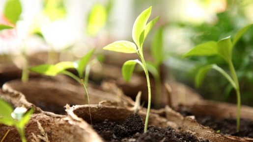 ����� ������� ������� ������������: �������� ���������� � ������ �� �������