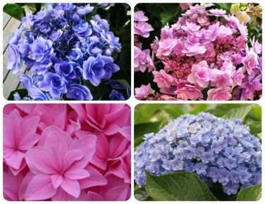 ��������� You & Me: �����������, ������� ���������� ��������