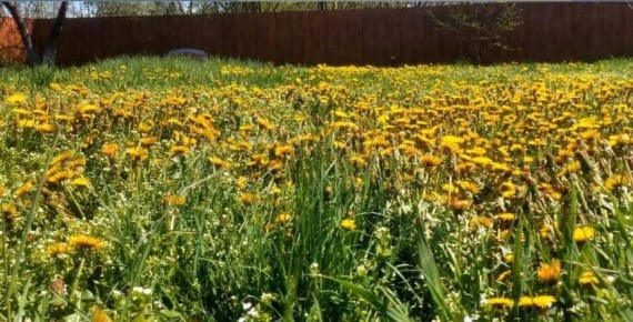 ������ � ���� ���� ����������� ���������� ����� � �� ��� �� ����� ��������