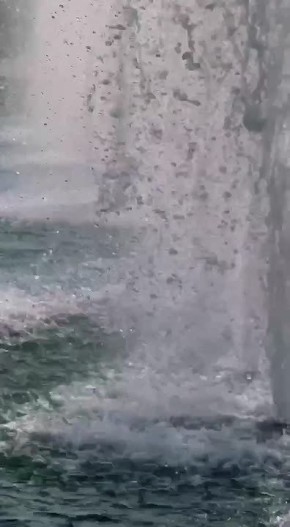 �� ������������ ���������� ������� ����� ��������