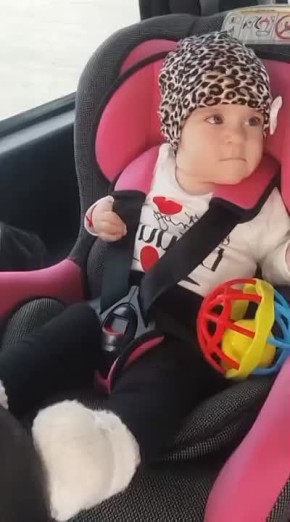 ������� �����������, �� ���������