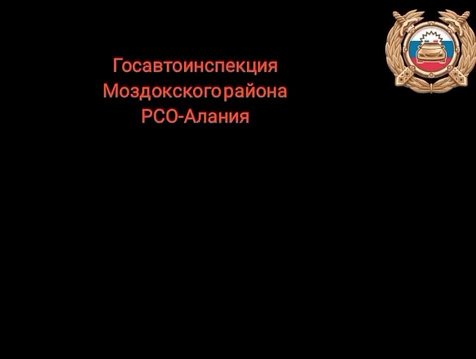Сотрудники Госавтоинспекции Моздокского района провели профилактическую беседу с учащимися МБОУ СОШ с. Троицкого