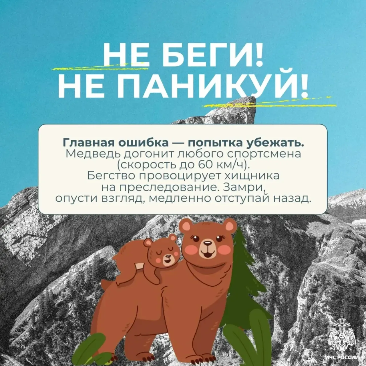 Встреча с медведем - редкое, но крайне опасное событие Встреча с медведем - редкое, но крайне опасное событие