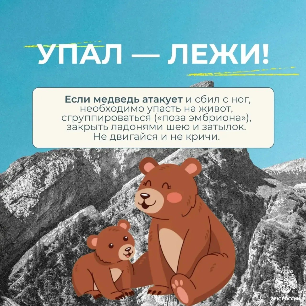 Встреча с медведем - редкое, но крайне опасное событие Встреча с медведем - редкое, но крайне опасное событие