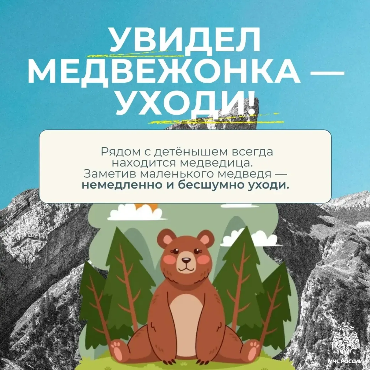 Встреча с медведем - редкое, но крайне опасное событие Встреча с медведем - редкое, но крайне опасное событие
