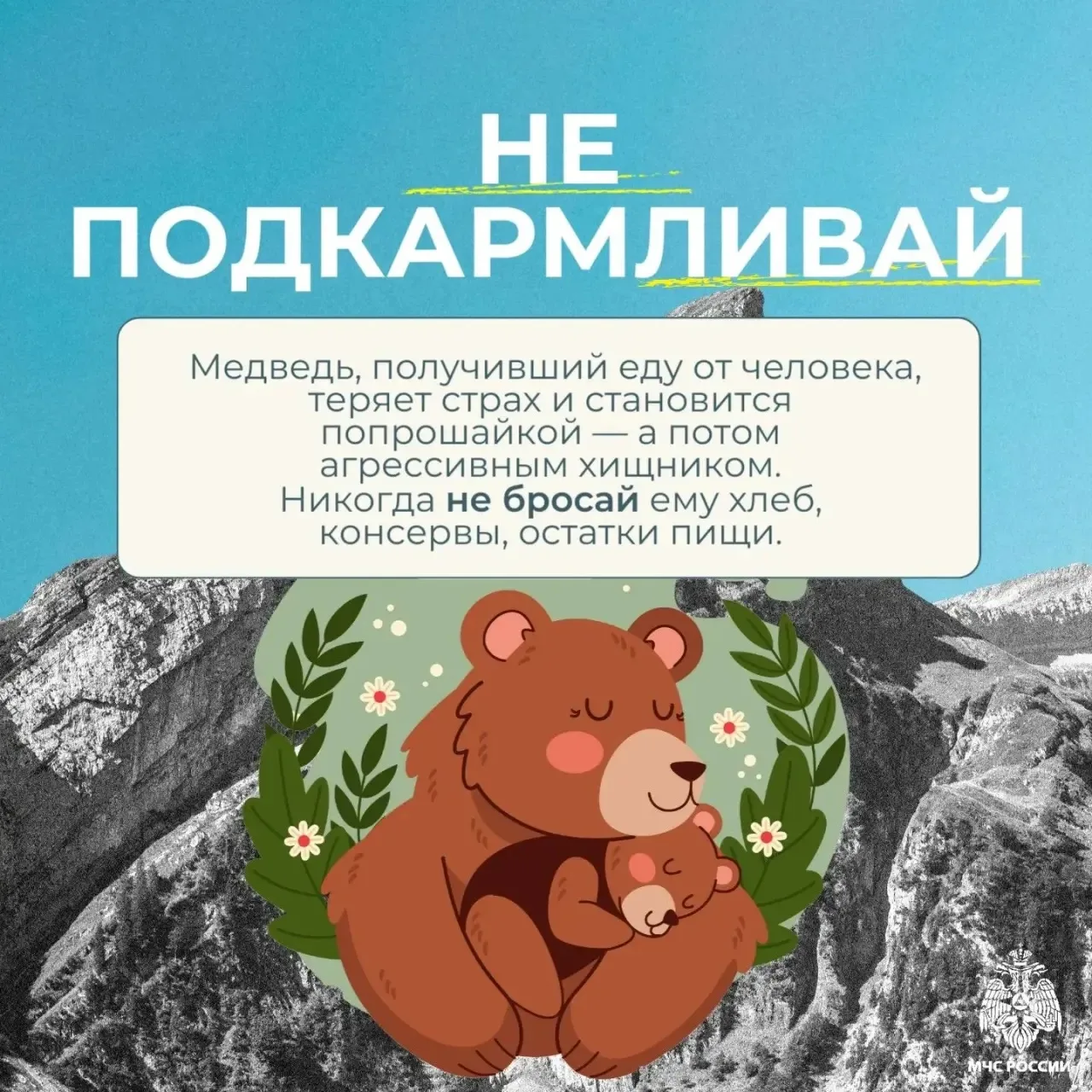 Встреча с медведем - редкое, но крайне опасное событие Встреча с медведем - редкое, но крайне опасное событие