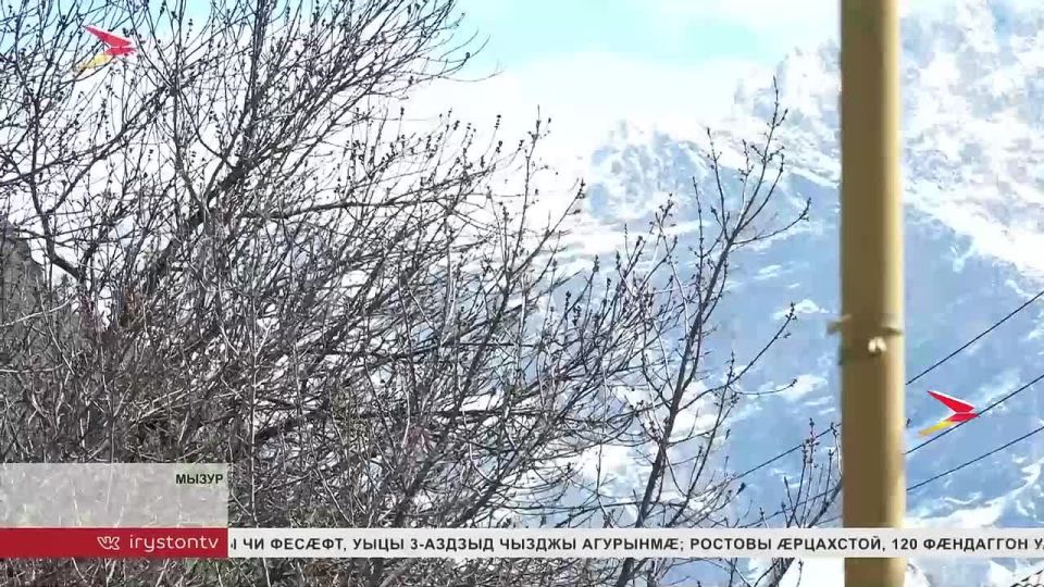 Бедзойты Люб 23 азы кусы мызуры посты службйы