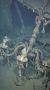 �������� ��������� ��������