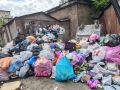 По информации, поступившей в колл-центр МинЖКХ, мусорные баки напротив гуманитарного лицея на проспекте Коста переполнены