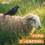 Информация, которая может тебе пригодиться