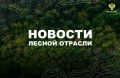 AK&M: Рослесхоз: утвержден новый порядок проведения лесопатологических обследований