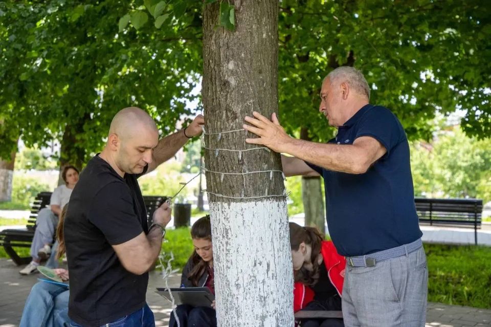 Во Владикавказе за последние два года подсветили более тысячи деревьев Во Владикавказе за последние два года подсветили более тысячи деревьев