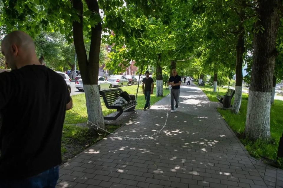 Во Владикавказе за последние два года подсветили более тысячи деревьев Во Владикавказе за последние два года подсветили более тысячи деревьев
