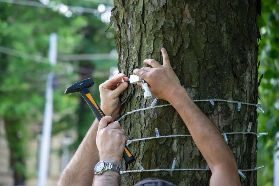 Во Владикавказе за последние два года подсветили более тысячи деревьев