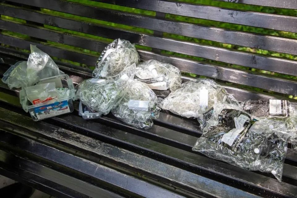 Во Владикавказе за последние два года подсветили более тысячи деревьев Во Владикавказе за последние два года подсветили более тысячи деревьев