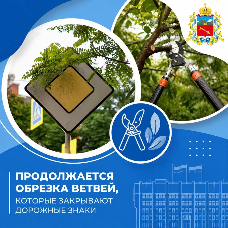 Во Владикавказе продолжается обрезка ветвей деревьев, которые закрывают дорожные знаки