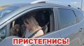 �� ��������� ������ ������������ ���������������� �������� ������ �� ��������� ������ ���������� ������ ������������ � ��������������� ���������� 5068 ��������� ������������ �������