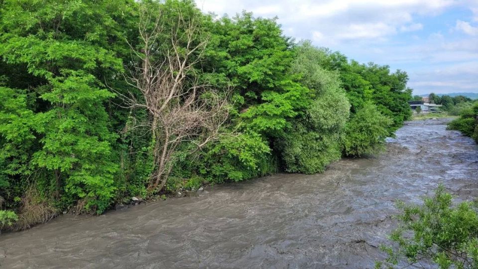 Зоолог: Кролики на островке во Владикавказе изначально были обречены на гибель Зоолог: Кролики на островке во Владикавказе изначально были обречены на гибель
