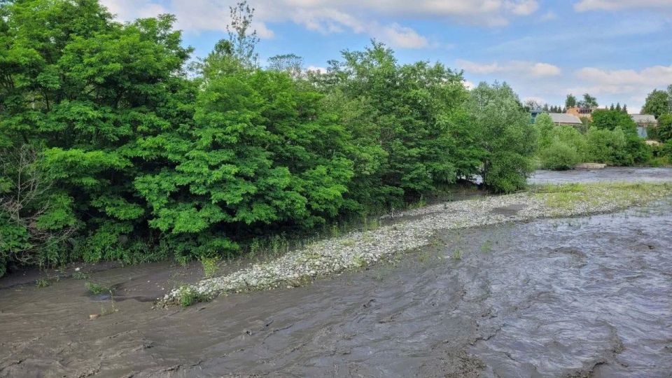 Зоолог: Кролики на островке во Владикавказе изначально были обречены на гибель Зоолог: Кролики на островке во Владикавказе изначально были обречены на гибель