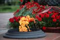 � ���� ������ � ������ ������� �������� ���-������ ������ ������ �������� ����� �� ��������� ����� �� ������������