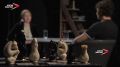 Символ несгибаемого мужества и трагической стойкости: Брестская крепость