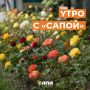 Информация, которая может тебе пригодиться