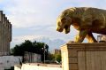 Фото Т. Шеходановой. Порой день начинается без намерений